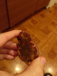 Гриб из Воронеж