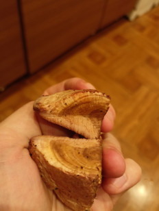 Гриб из Воронеж