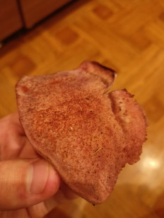 Гриб из Воронеж