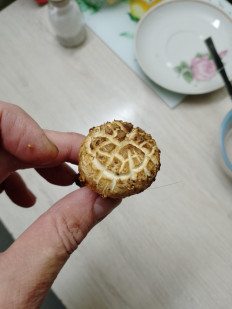 Гриб из Москва г