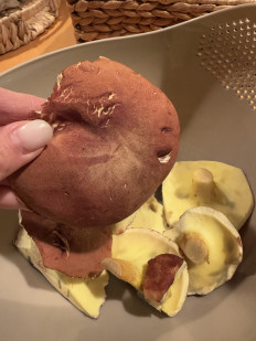 Гриб из Алушта