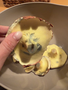 Гриб из Алушта