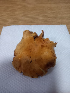 Гриб из Крым, Симферополь