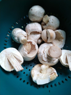 Гриб из пос.Рабочий