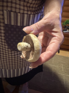 Гриб из Село Крым