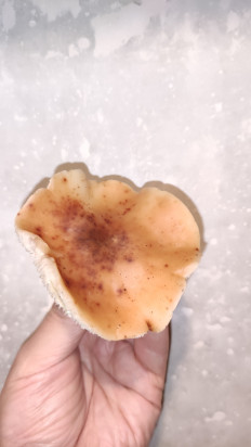 Гриб из Раменское