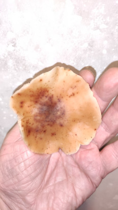 Гриб из Раменское