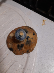 Гриб из Владимирская облась, Ковровский район