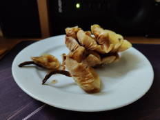 Гриб из Ногинск