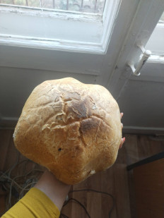 Гриб из Ахтубинск Астраханская область