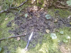 Гриб из Уфа