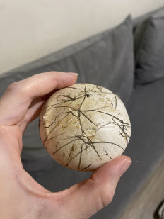 Гриб из Симферополь