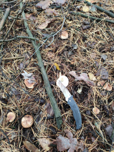 Гриб из Самара