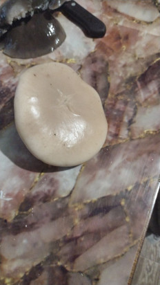 Гриб из Попасная