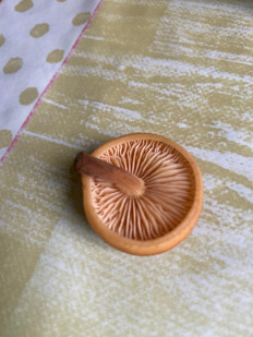 Гриб из Тамбов