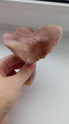 Гриб из Игра