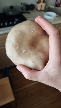 Гриб из Пятигорск