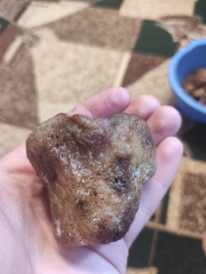 Гриб из Вільногірськ