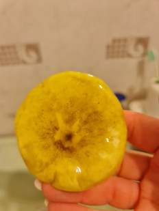 Гриб из Лиски