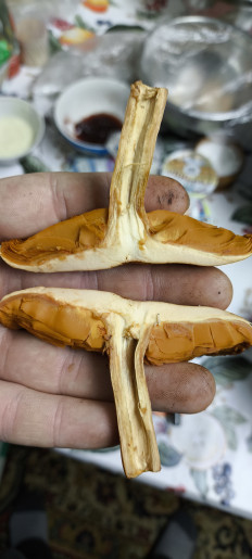 Гриб из Леонтьев