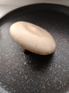 Гриб из Г. Щёлкино