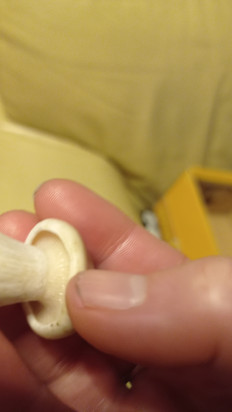 Гриб из Никополь