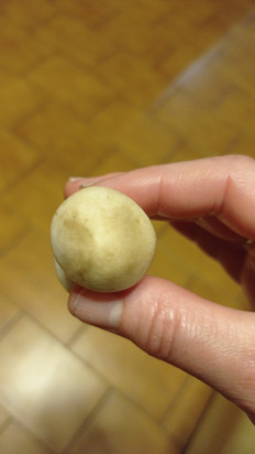 Гриб из Никополь