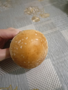 Гриб из Краснодар