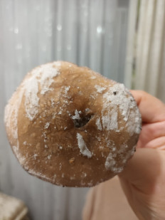 Гриб из гор. Самара