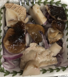 Гриб из Где-то в средней полосе плюс-минус пол-России…