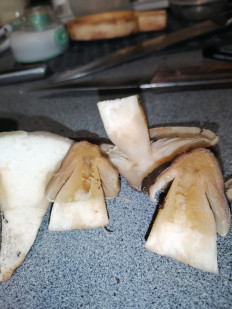 Гриб из Воронеж