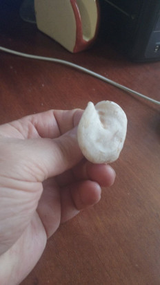 Гриб из Кордон Одесса