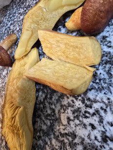 Рядовка жёлто-красная