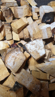 Гриб из Москва