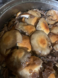 Гриб из Москва