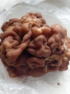 Гриб из черниговская область