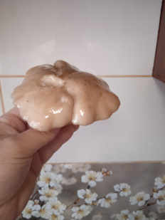 Гриб из Рязань