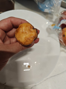 Гриб из Сочи