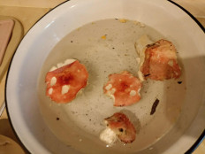 Гриб из Воронеж