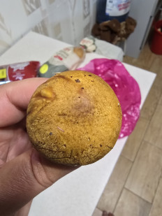 Гриб из Кисловодск