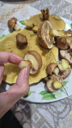 Маслёнок настоящий
