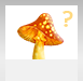 Что за гриб?
